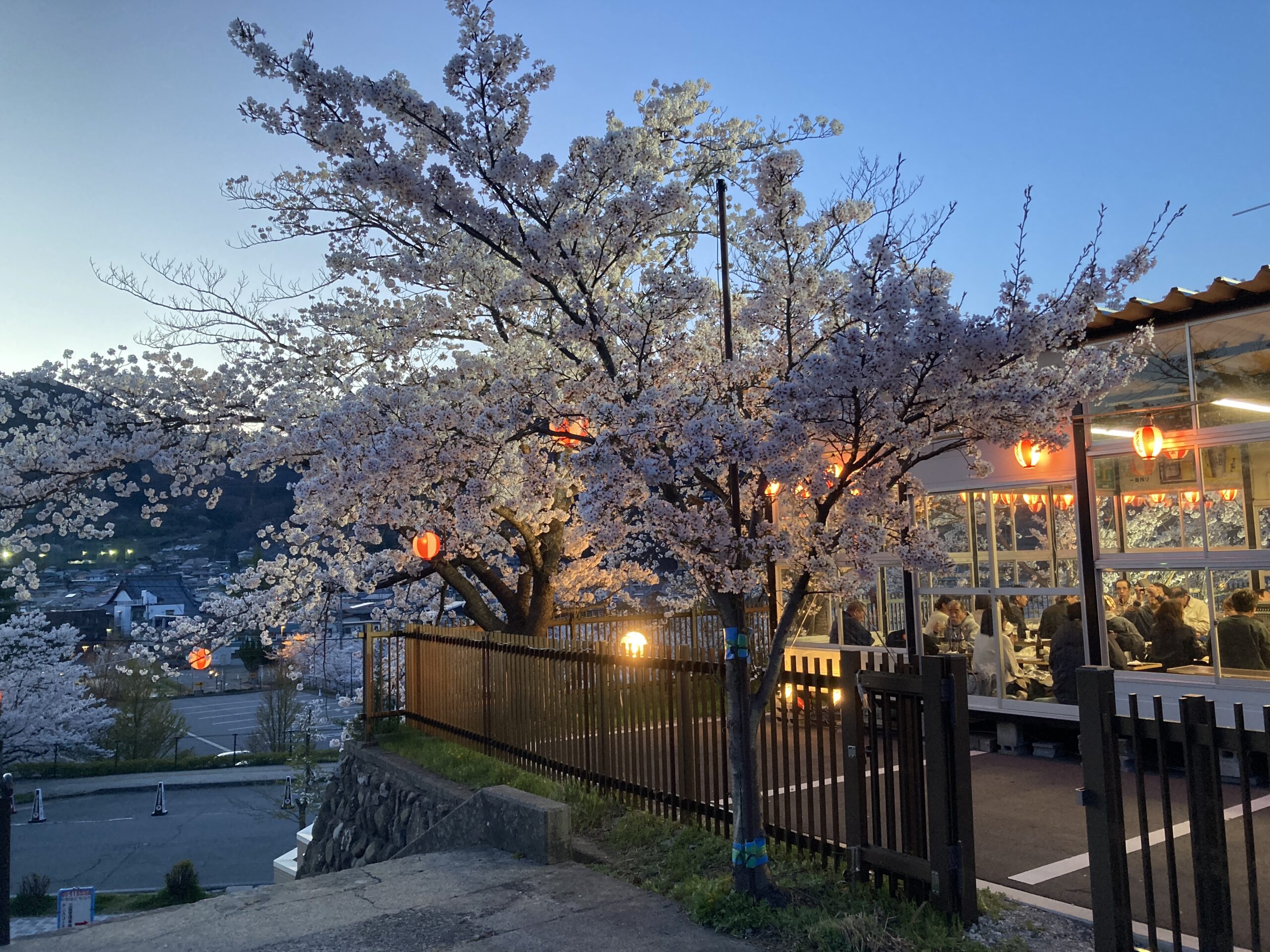 桜瑪瑙 瓢箪置物✴︎花開く幸運と優しい癒し✴︎ピンクアゲートドゥルージー✴︎台座付き 善光寺近くの城山公園の桜～鶴亀（花見茶屋）で一杯 - 大日不動産 長野